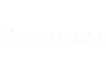 avang music