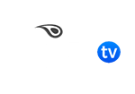 biz tv