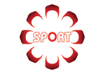 ktv sport