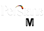 Persiana Cinema