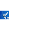 rtv mir
