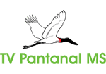 TV PANTANAL MS